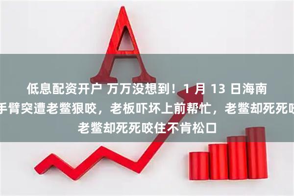 低息配资开户 万万没想到！1 月 13 日海南街头，男子手臂突遭老鳖狠咬，老板吓坏上前帮忙，老鳖却死死咬住不肯松口